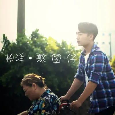 愿得一人心封面