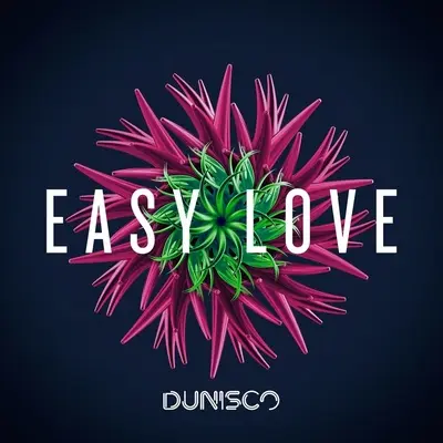 Easy Love封面