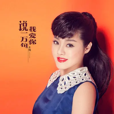 说一万句我爱你(DJ何鹏版)封面