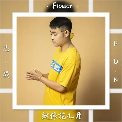 就像花儿开封面