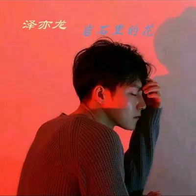 岩石里的花(Dj版) - 泽亦龙封面