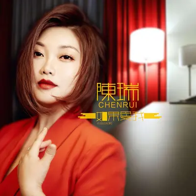 如果爱我(Dj何鹏版)封面