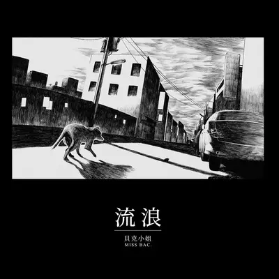 流浪封面