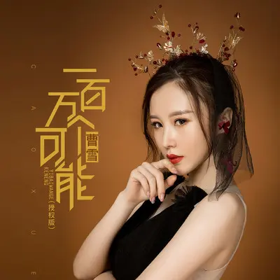 一百万个可能 (伴奏)封面