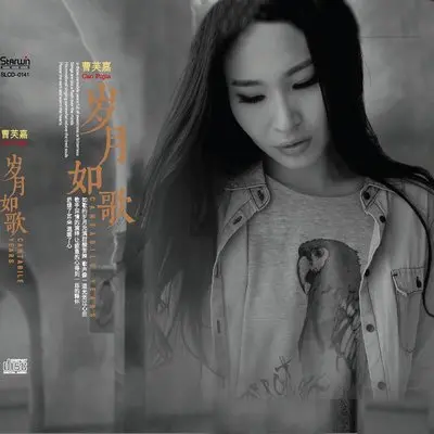 十年封面