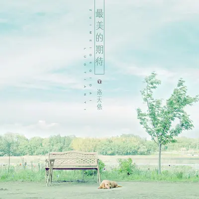 最美的期待封面