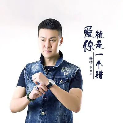 爱你就是一个错 - 暴林封面