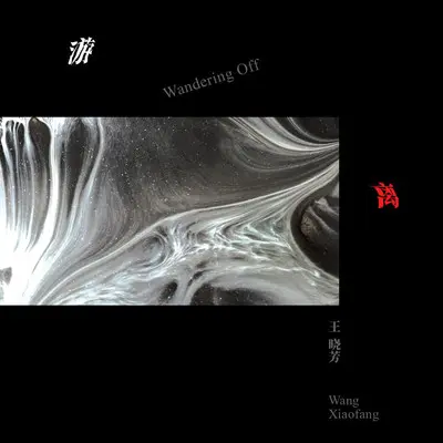 游离 - 王晓芳封面