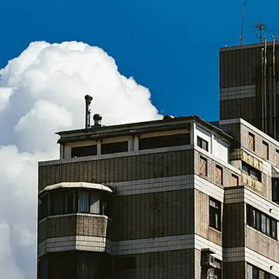 跳跳虎封面
