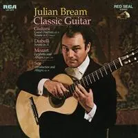 Divertimento in B-Flat Major, K. Anh. 229 No. 2: III. Larghetto (Arr. J. Bream for Guitar)
