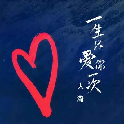 一生只爱你一次封面