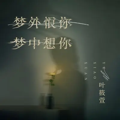梦外恨你梦中想你(伴奏)封面