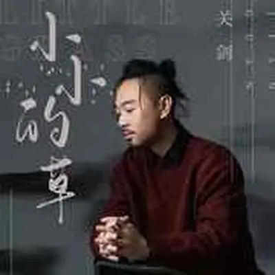 小小的草封面