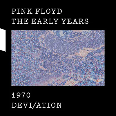 If (Live BBC Radio Session, 16 July 1970) - Pink Floyd封面