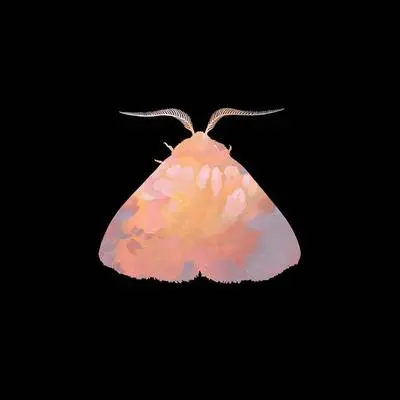 Romeo (Empress Of Remix)封面