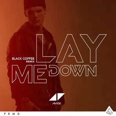 Lay Me Down (Black Coffee Remix)封面