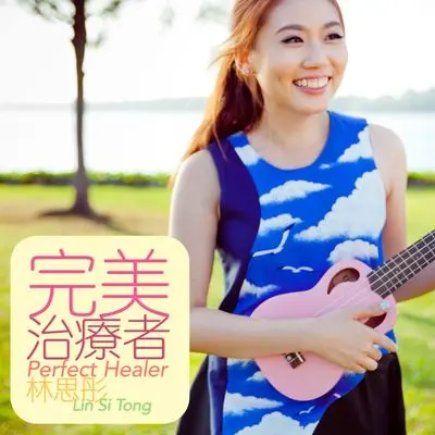 完美治疗者封面