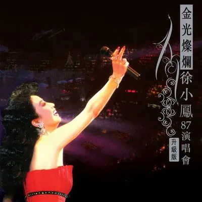 人似浪花(Live版) - 徐小凤封面
