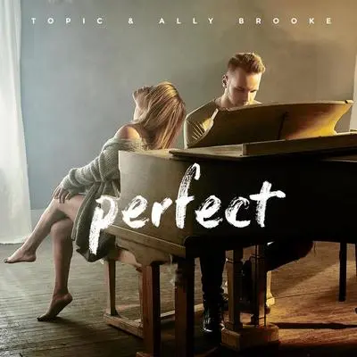 Perfect (Frdy Remix) - Topic / Ally Brooke封面