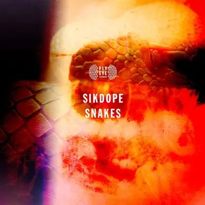 Snakes (Extended Mix)封面