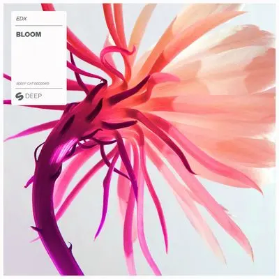 Bloom (Extended Mix)封面