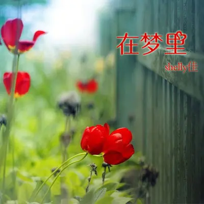 在梦里（完整版）封面