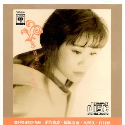 不夜城 - 林志美封面