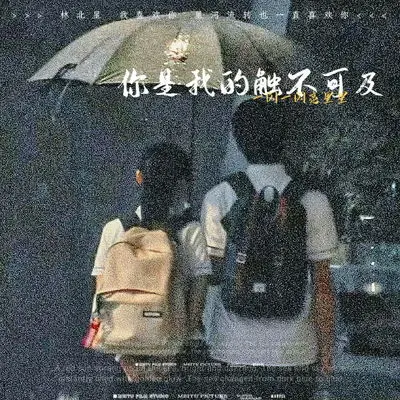 你是我的触不可及(温柔版)封面