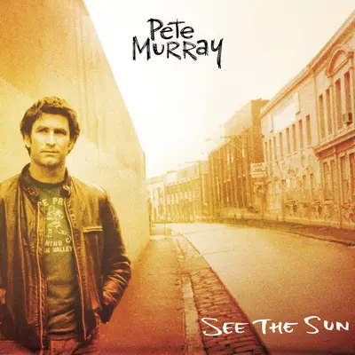 Remedy - Pete Murray封面