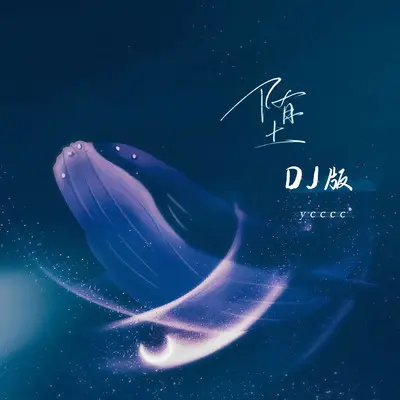 堕(DJ版伴奏)封面