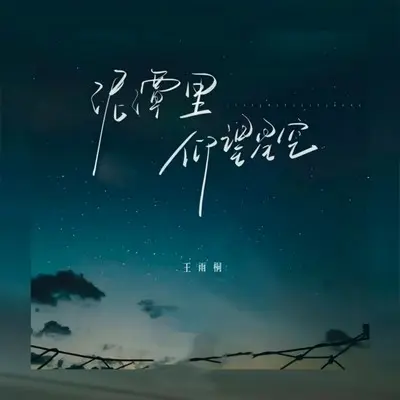 泥潭里仰望星空封面