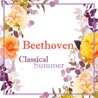 Beethoven: Piano Sonata No. 5 in C Minor, Op. 10 No. 1 - 1. Allegro molto e con brio