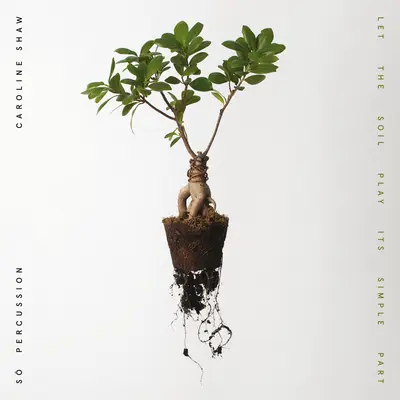 To the Sky - Caroline Shaw / So Percussion封面