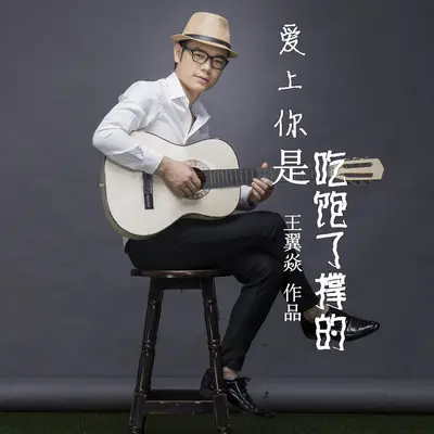 爱上你是吃饱了撑的(DJ版)封面