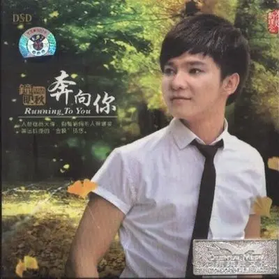 山楂花 (山楂树之恋主题曲)封面