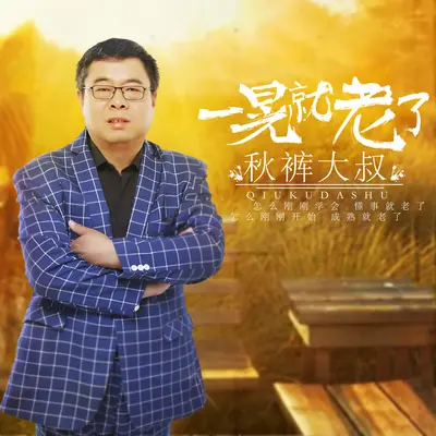 一晃就老了(DJ何鹏版)(DJ何鹏版)封面