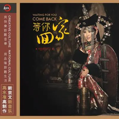 苍天般的阿拉善封面