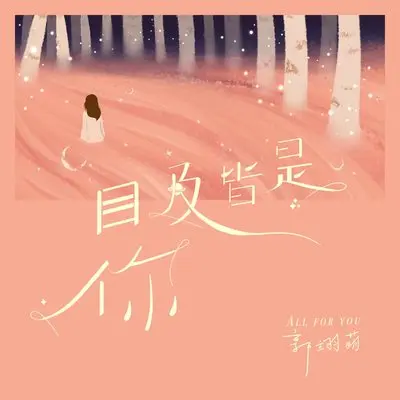 目及皆是你(许愿版)封面
