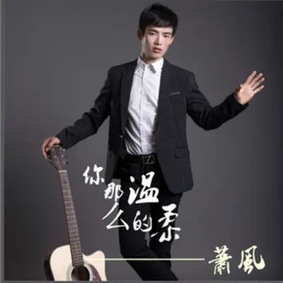 你那么的温柔封面