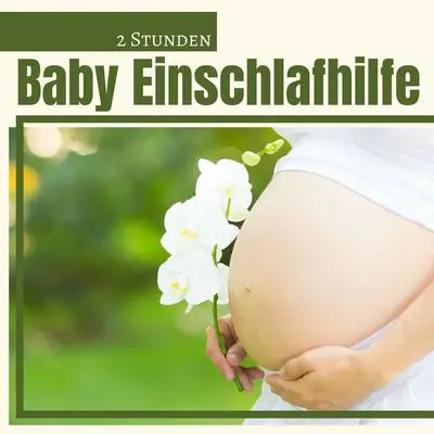 In der Wiege封面