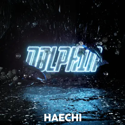 Dolphin封面