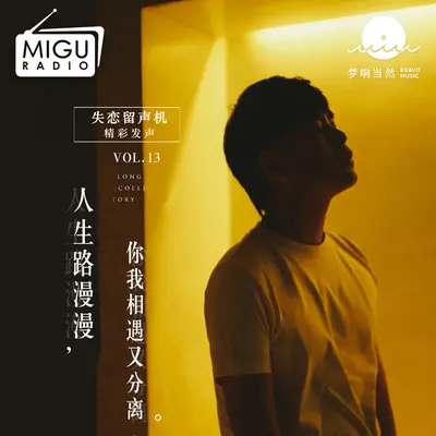 人生路漫漫，你我相遇又分离。(失恋留声机第十三期) - 苟瀚中封面