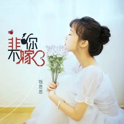 非你不嫁（完整版）封面