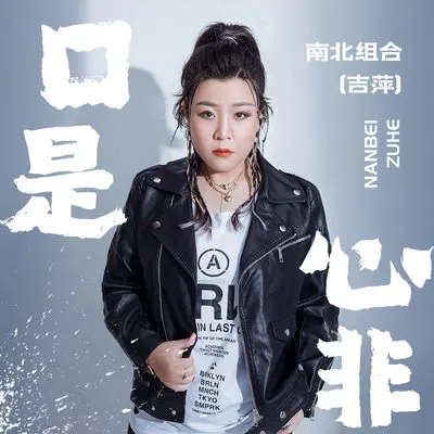 口是心非 (伴奏)封面