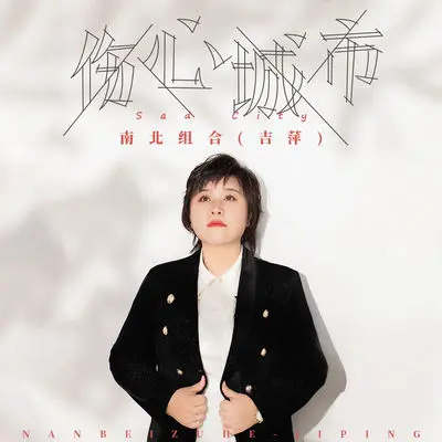 伤心城市 (伴奏) - 南北组合 吉萍封面
