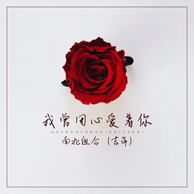 我曾用心爱着你封面