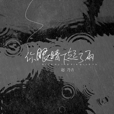 你眼睛下起了雨(伴奏)封面
