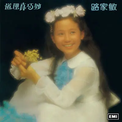 小太阳封面