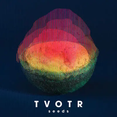 Could You - TV On The Radio封面