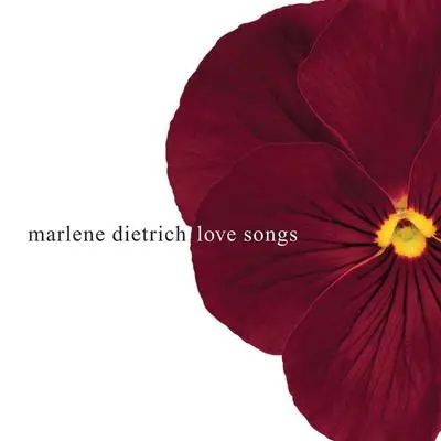 No Love, No Nothing (Album Version)封面